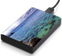 meSleep HD31263 Hard Disk Skin(Multicolor)   Laptop Accessories  (meSleep)