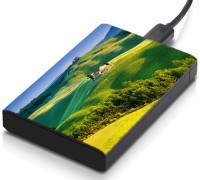 meSleep HD41149 Hard Disk Skin(Multicolor)   Laptop Accessories  (meSleep)