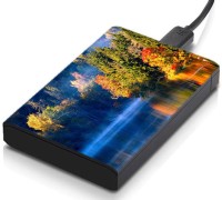 meSleep HD32176 Hard Disk Skin(Multicolor)   Laptop Accessories  (meSleep)