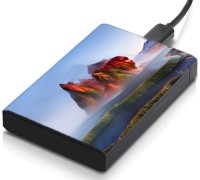 meSleep HD38311 Hard Disk Skin(Multicolor)   Laptop Accessories  (meSleep)