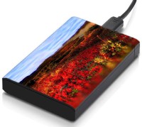 meSleep HD33351 Hard Disk Skin(Multicolor)   Laptop Accessories  (meSleep)