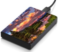 meSleep HD36120 Hard Disk Skin(Multicolor)   Laptop Accessories  (meSleep)