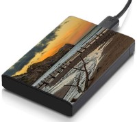 meSleep HD33139 Hard Disk Skin(Multicolor)   Laptop Accessories  (meSleep)