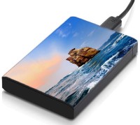 meSleep HD31150 Hard Disk Skin(Multicolor)   Laptop Accessories  (meSleep)