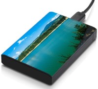 meSleep HD30131 Hard Disk Skin(Multicolor)   Laptop Accessories  (meSleep)