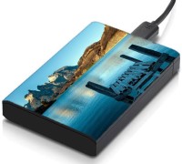 meSleep HD36236 Hard Disk Skin(Multicolor)   Laptop Accessories  (meSleep)