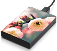 meSleep HD25070 Hard Disk Skin(Multicolor)   Laptop Accessories  (meSleep)