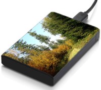 View meSleep HD32210 Hard Disk Skin(Multicolor) Laptop Accessories Price Online(meSleep)