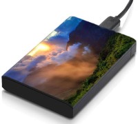 meSleep HD39125 Hard Disk Skin(Multicolor)   Laptop Accessories  (meSleep)