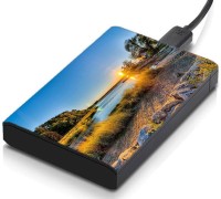 meSleep HD37220 Hard Disk Skin(Multicolor)   Laptop Accessories  (meSleep)