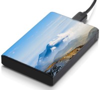 meSleep HD43061 Hard Disk Skin(Multicolor)   Laptop Accessories  (meSleep)