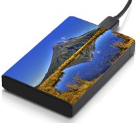 meSleep HD33264 Hard Disk Skin(Multicolor)   Laptop Accessories  (meSleep)