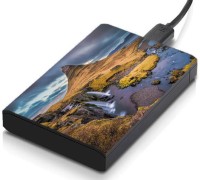 meSleep HD37114 Hard Disk Skin(Multicolor)   Laptop Accessories  (meSleep)