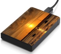 meSleep HD46165 Hard Disk Skin(Multicolor)   Laptop Accessories  (meSleep)