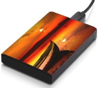 meSleep HD21046 Hard Disk Skin(Multicolor)   Laptop Accessories  (meSleep)