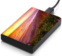 meSleep HD46257 Hard Disk Skin(Multicolor)   Laptop Accessories  (meSleep)