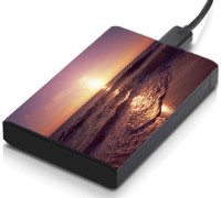 meSleep HD46226 Hard Disk Skin(Multicolor)   Laptop Accessories  (meSleep)