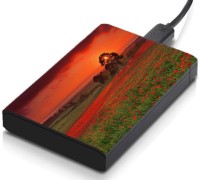 meSleep HD42099 Hard Disk Skin(Multicolor)   Laptop Accessories  (meSleep)