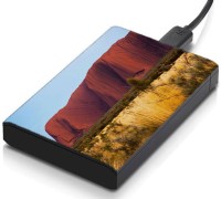 meSleep HD36387 Hard Disk Skin(Multicolor)   Laptop Accessories  (meSleep)