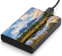 meSleep HD35310 Hard Disk Skin(Multicolor)   Laptop Accessories  (meSleep)