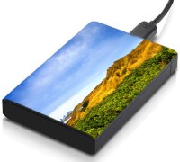 meSleep HD21186 Hard Disk Skin(Multicolor)   Laptop Accessories  (meSleep)