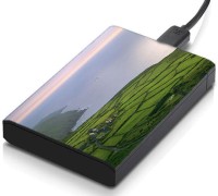 meSleep HD43023 Hard Disk Skin(Multicolor)   Laptop Accessories  (meSleep)