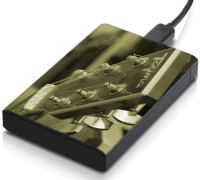 meSleep HD1725 Hard Disk Skin(Multicolor)   Laptop Accessories  (meSleep)