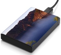 meSleep HD30151 Hard Disk Skin(Multicolor)   Laptop Accessories  (meSleep)