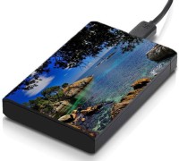 meSleep HD36058 Hard Disk Skin(Multicolor)   Laptop Accessories  (meSleep)