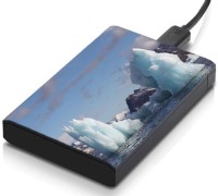 meSleep HD44162 Hard Disk Skin(Multicolor)   Laptop Accessories  (meSleep)