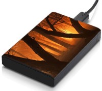 meSleep HD30291 Hard Disk Skin(Multicolor)   Laptop Accessories  (meSleep)