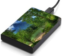 meSleep HD33300 Hard Disk Skin(Multicolor)   Laptop Accessories  (meSleep)