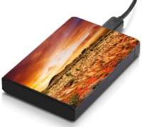 meSleep HD31380 Hard Disk Skin(Multicolor)   Laptop Accessories  (meSleep)