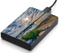 meSleep HD45166 Hard Disk Skin(Multicolor)   Laptop Accessories  (meSleep)