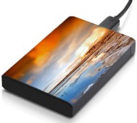 meSleep HD33227 Hard Disk Skin(Multicolor)   Laptop Accessories  (meSleep)