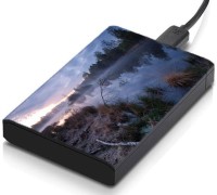 meSleep HD45363 Hard Disk Skin(Multicolor)   Laptop Accessories  (meSleep)