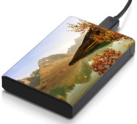 meSleep HD43027 Hard Disk Skin(Multicolor)   Laptop Accessories  (meSleep)