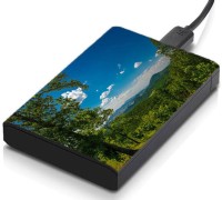 meSleep HD30039 Hard Disk Skin(Multicolor)   Laptop Accessories  (meSleep)