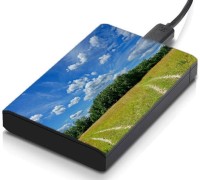 meSleep HD36074 Hard Disk Skin(Multicolor)   Laptop Accessories  (meSleep)