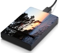 meSleep HD31157 Hard Disk Skin(Multicolor)   Laptop Accessories  (meSleep)