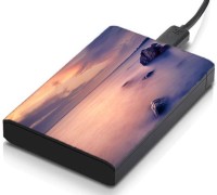 meSleep HD38085 Hard Disk Skin(Multicolor)   Laptop Accessories  (meSleep)