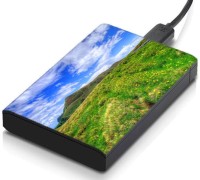 meSleep HD45113 Hard Disk Skin(Multicolor)   Laptop Accessories  (meSleep)