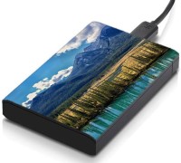 meSleep HD45222 Hard Disk Skin(Multicolor)   Laptop Accessories  (meSleep)