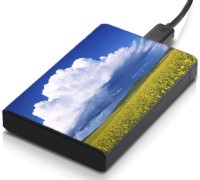 meSleep HD39318 Hard Disk Skin(Multicolor)   Laptop Accessories  (meSleep)