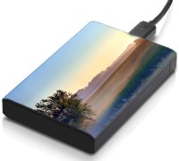 meSleep HD39149 Hard Disk Skin(Multicolor)   Laptop Accessories  (meSleep)