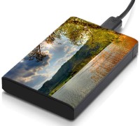 meSleep HD29350 Hard Disk Skin(Multicolor)   Laptop Accessories  (meSleep)