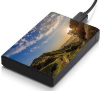 meSleep HD47005 Hard Disk Skin(Multicolor)   Laptop Accessories  (meSleep)