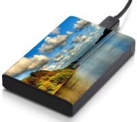 meSleep HD38376 Hard Disk Skin(Multicolor)   Laptop Accessories  (meSleep)