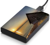meSleep HD46094 Hard Disk Skin(Multicolor)   Laptop Accessories  (meSleep)