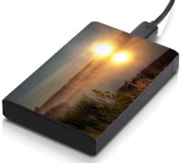 meSleep HD39156 Hard Disk Skin(Multicolor)   Laptop Accessories  (meSleep)